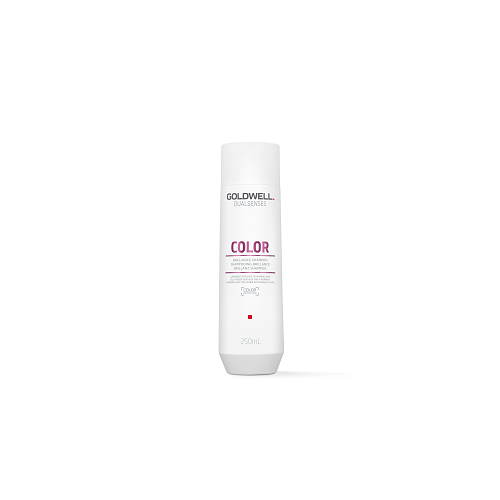 Goldwell Dualsenses Color Brilliance Shampoo
