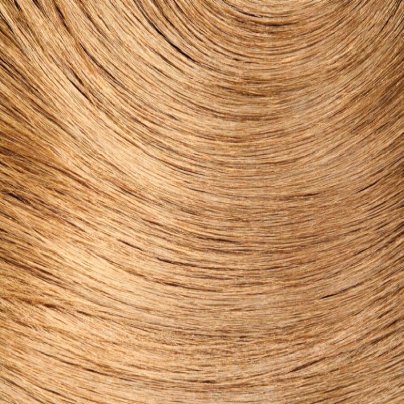Wella - EOS III Ingwer - 120gr