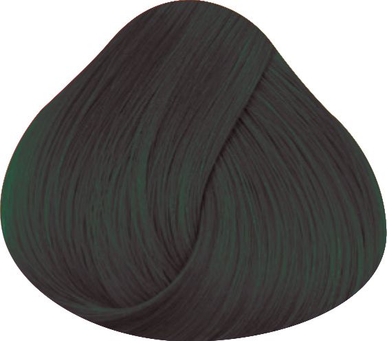 Directions - Ebony - 100ml
