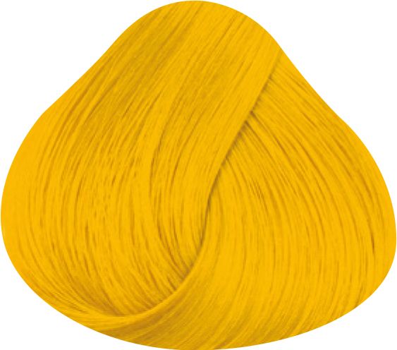 Directions - Sunflower - 100ml